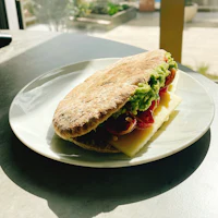 a sandwich on a white plate with guacamole and cheese