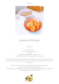 a photo of a bowl of oatmeal with oranges in it